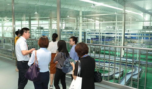 元气森林天津工厂正式投产，产能释放助力北方市场布局，带动教育咨询服务需求